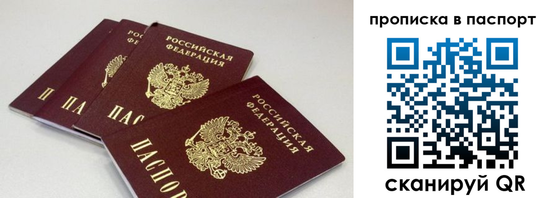 найти адрес прописки в Красногорске